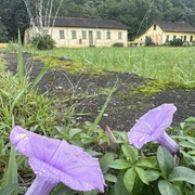 Vila de Itatinga em Bertioga