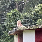 Vila de Itatinga em Bertioga