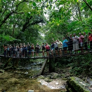 Trilha Educativa: Descobrindo a Mata Atlântica