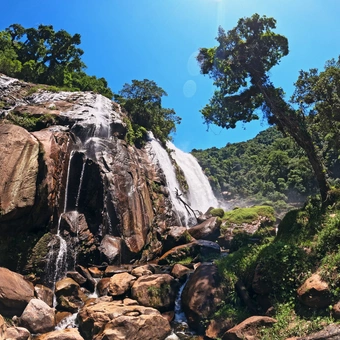 Cachoeira do Elefante: Aventura na Serra do Mar de Bertioga