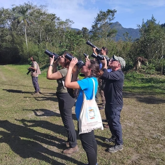 Observação de Aves em Bertioga