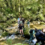 Cachoeira do Elefante